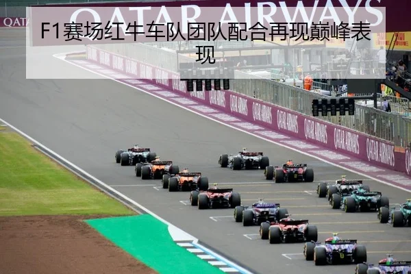 F1赛场红牛车队团队配合再现巅峰表现